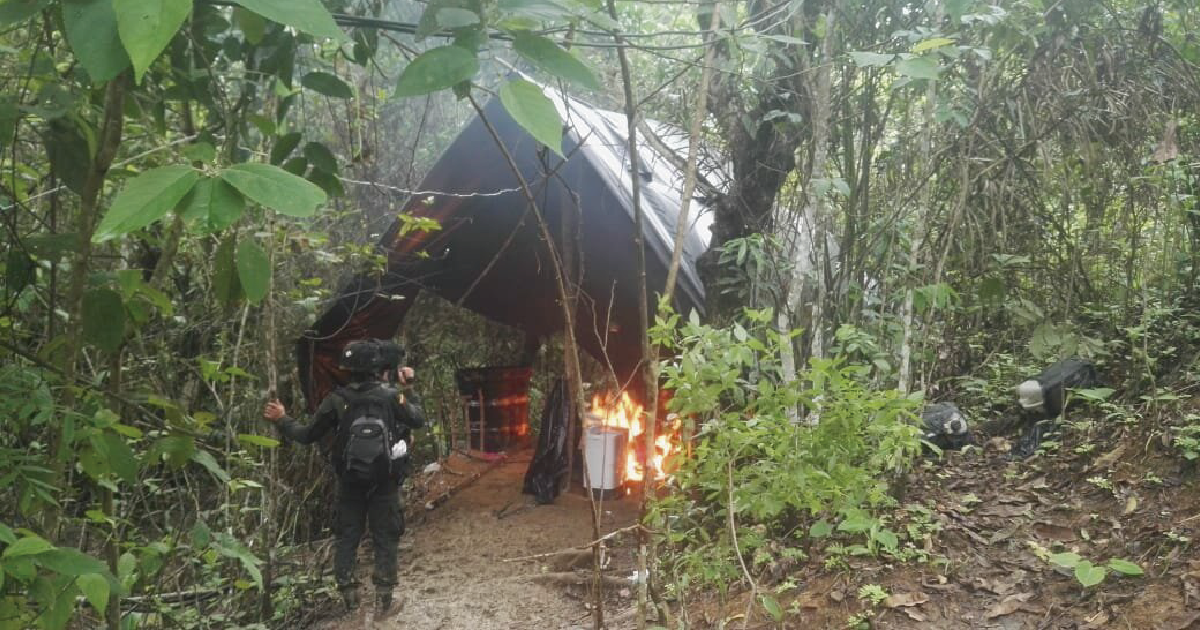 Hallado y destruido laboratorio para el procesamiento de alcaloides en zona rural de Monterrey